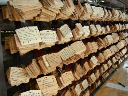 DSCN0251.jpg