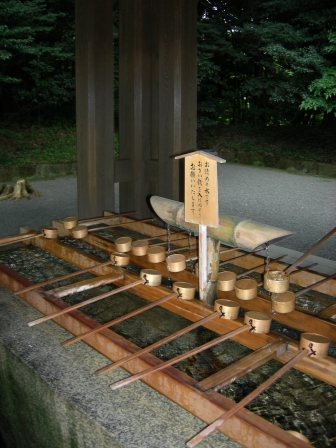 DSCN0263.jpg