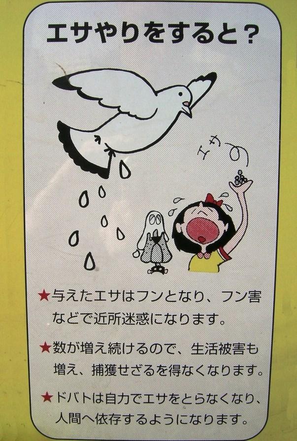 Birdshit Warning Sign