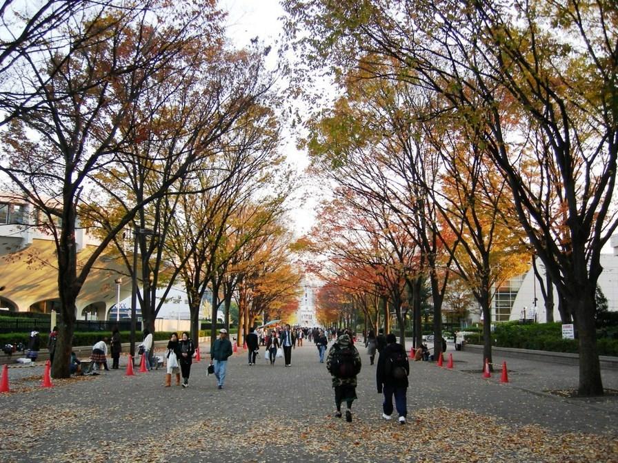 Yoyogi Park