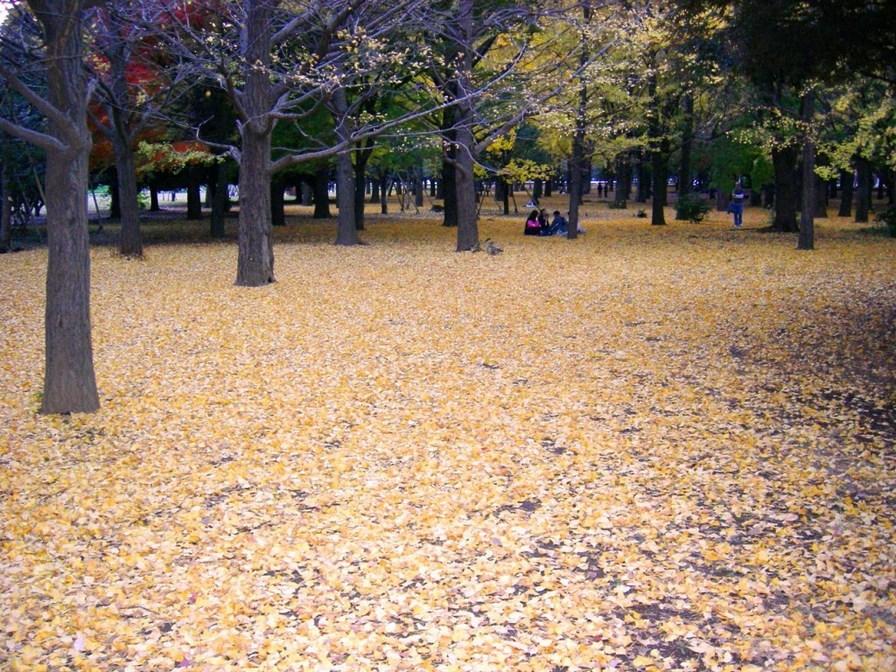 Autumn