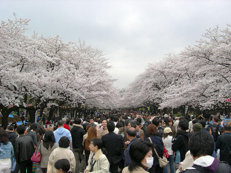 DSCN0671