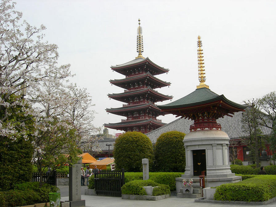 DSCN0717