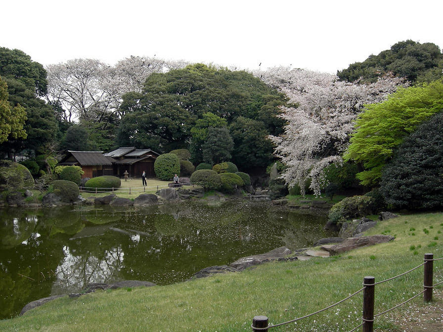 DSCN0731