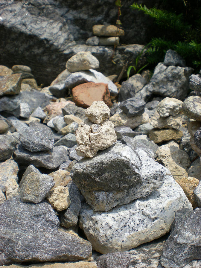 DSCN0687
