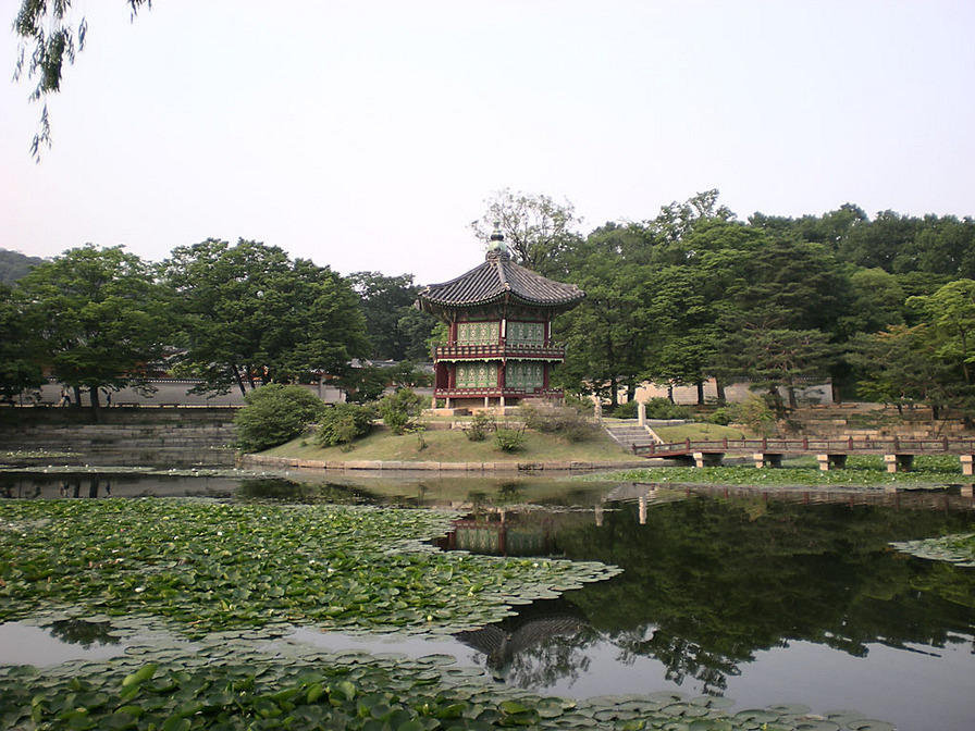 DSCN0740
