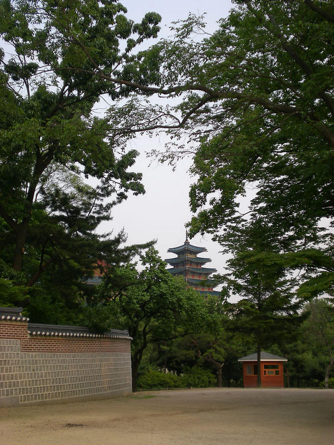 DSCN0754
