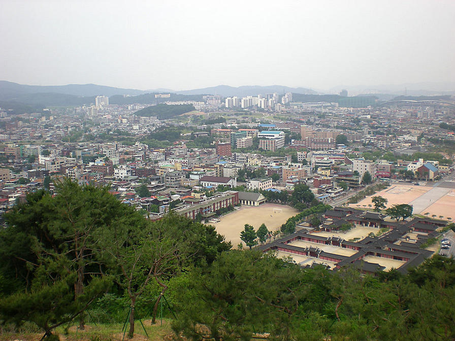 DSCN0771
