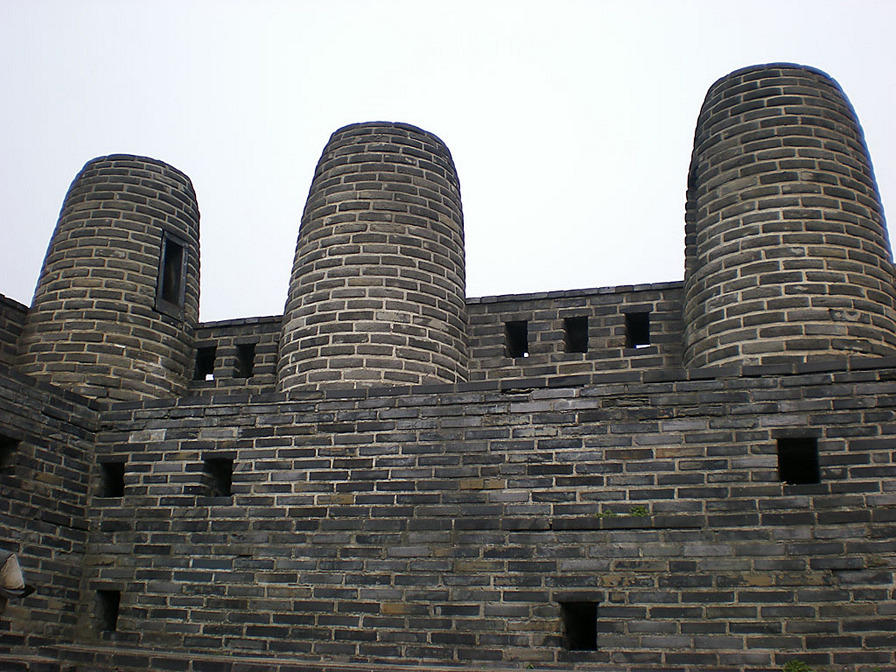DSCN0786