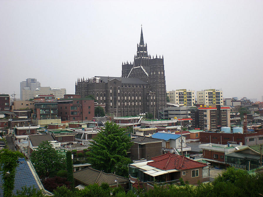 DSCN0788