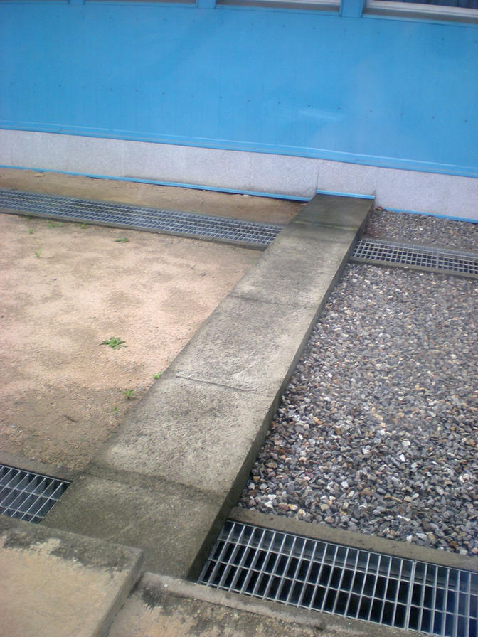 DSCN0809