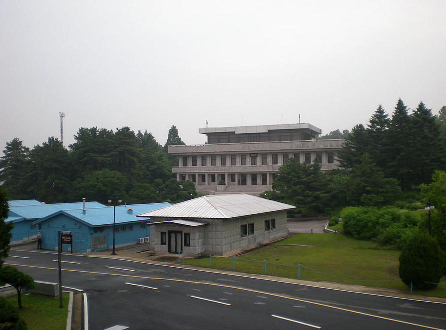 DSCN0818