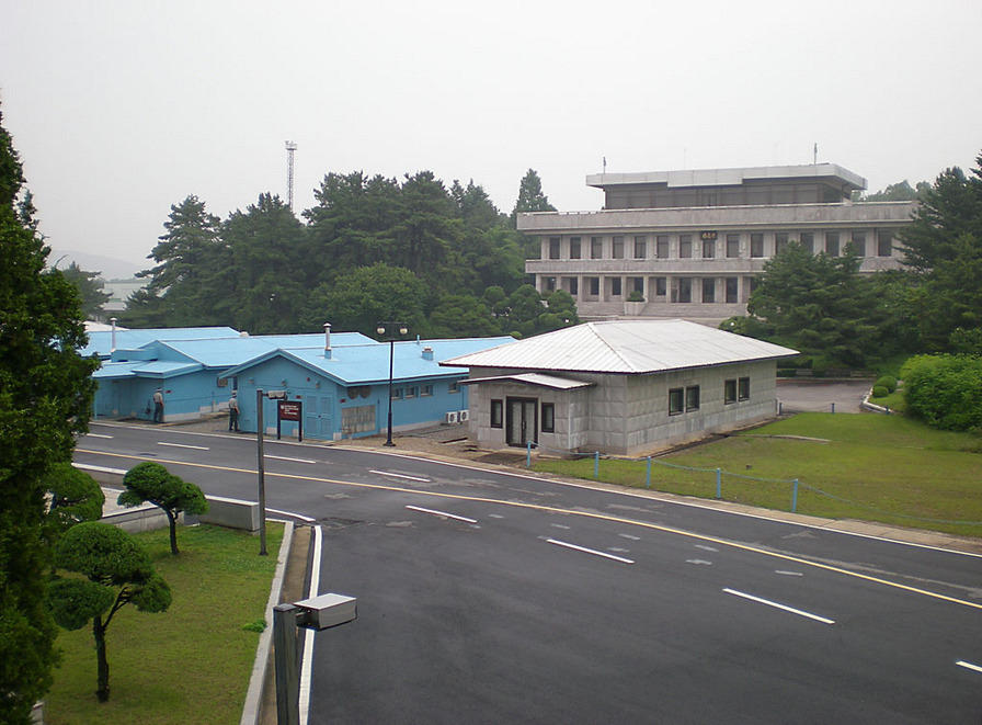 DSCN0819