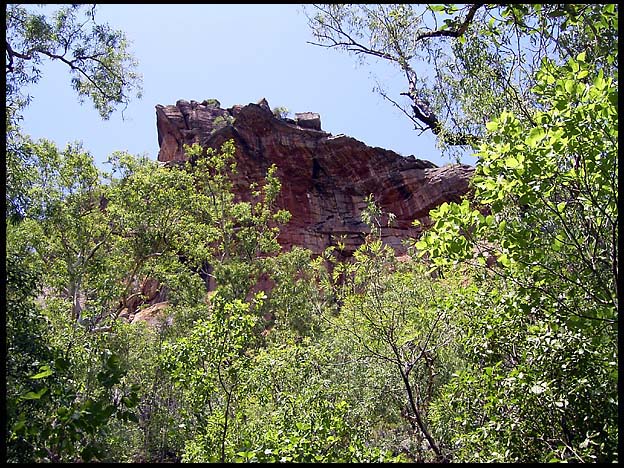 NT_rimg0205.jpg