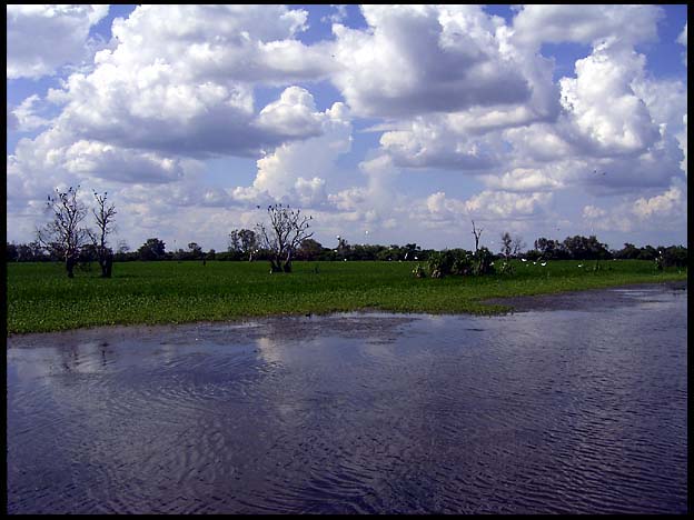 NT_rimg0216.jpg