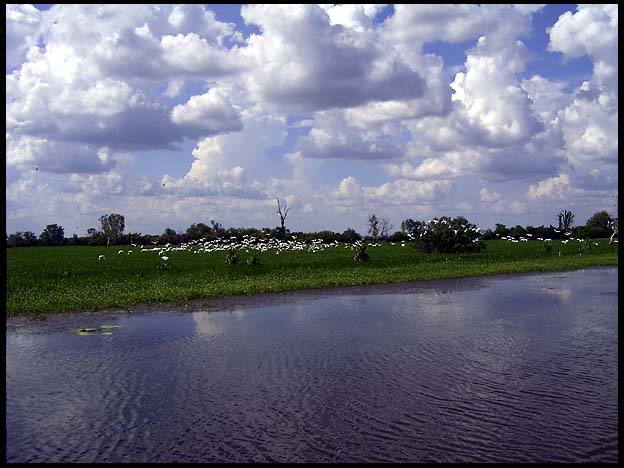 NT_rimg0217.jpg