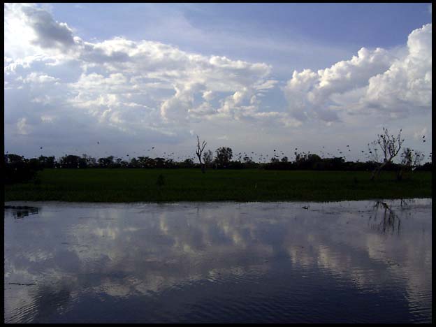 NT_rimg0242.jpg