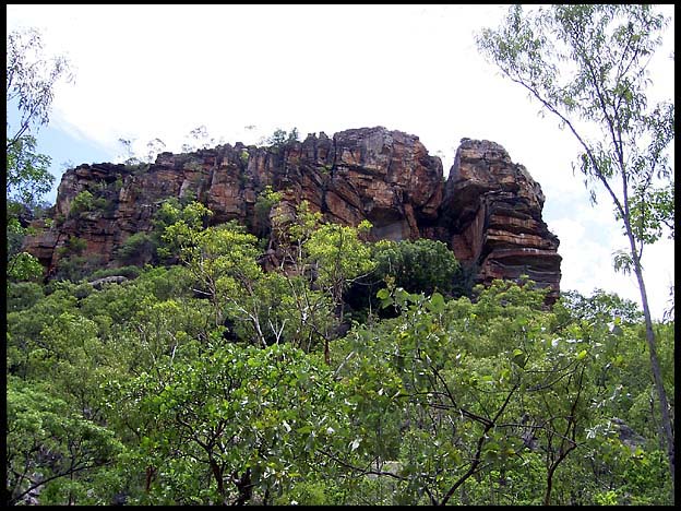 NT_rimg0256.jpg