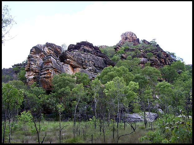 NT_rimg0262.jpg