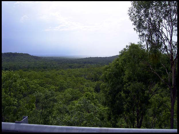 NT_rimg0268.jpg