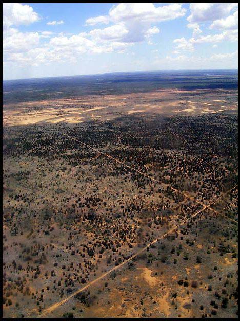 NT_rimg0308.jpg