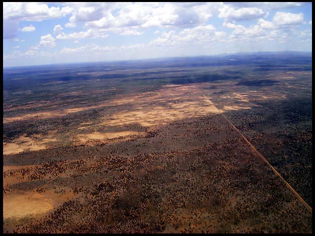 NT_rimg0310.jpg