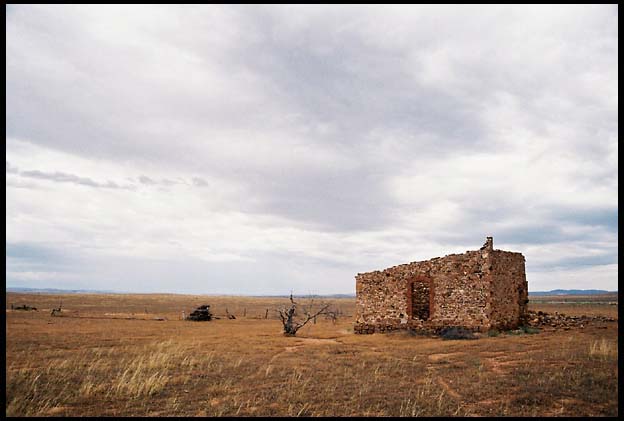 RIMG0303_ROLL1DX-15