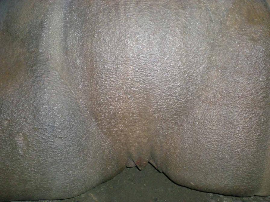 DSCN2747
