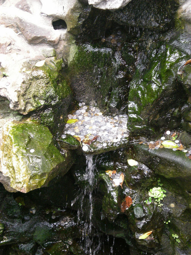 DSCN0167