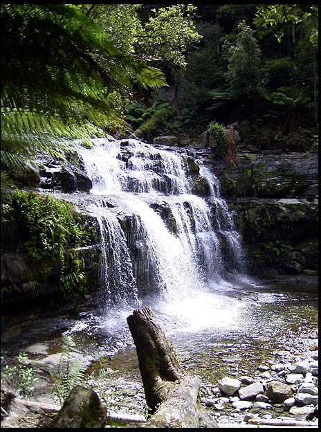 20040213_RIMG0058