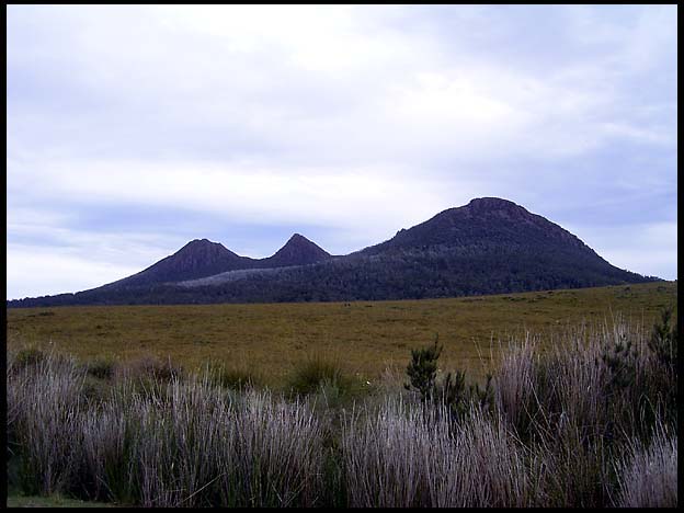 20040213_RIMG0070