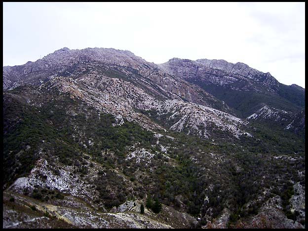 20040213_RIMG0074