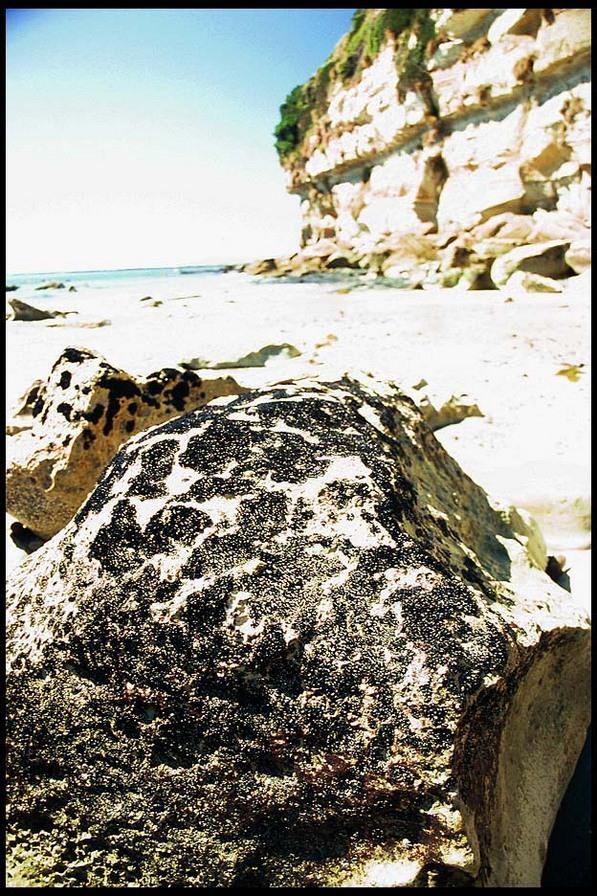 20040216_RIMG0092