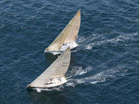 P1064645z2.jpg