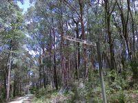 New Guinea Track