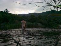 Snowy River Wash