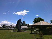 Big Trout - Adaminaby