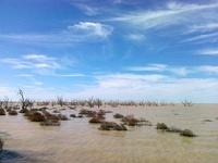 Menindee Lakes