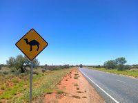 Beware Camels