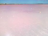 Lake Albert