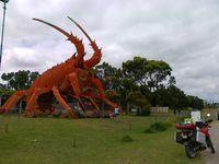 Lobster vs F650