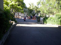 DSCN1468