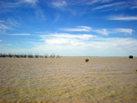 Menindee Lakes