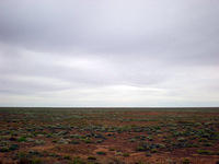 DSCN1594