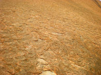 DSCN1729