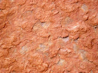 DSCN1750