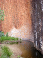 DSCN1754
