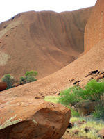 DSCN1769