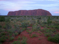 DSCN1787