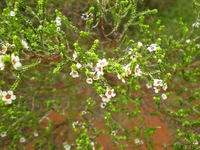 DSCN1860